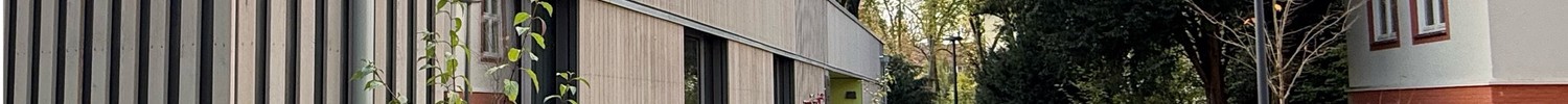 Neues Schulgebäude mit Holzfassade im Vordergrund Pflanzen.